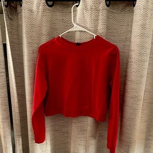 Wild fable sweater [cropped]